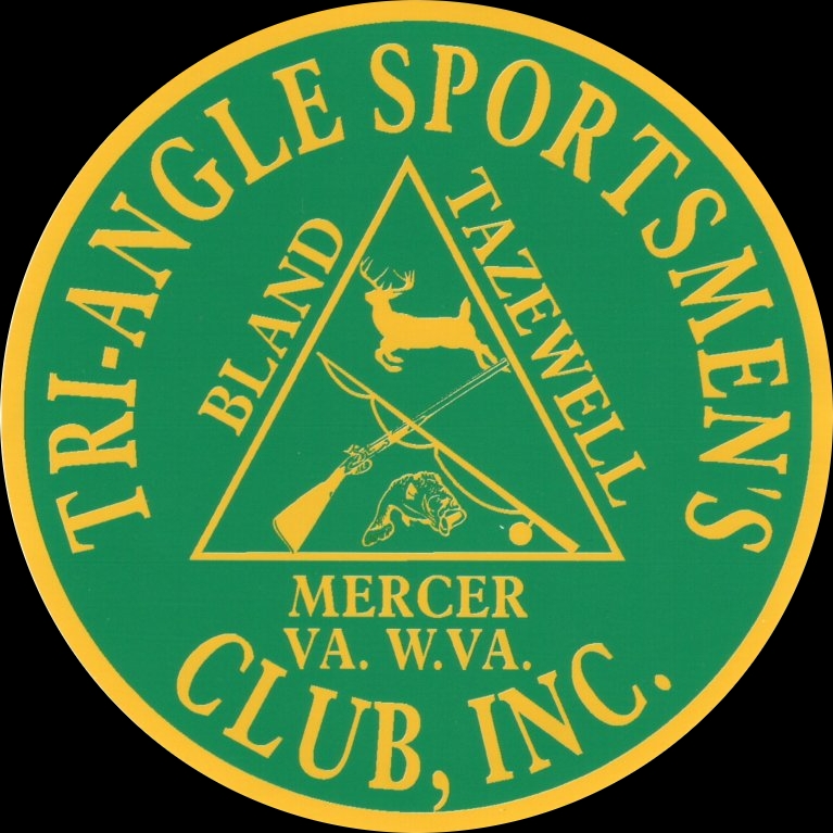 Triangle ICORE Logo